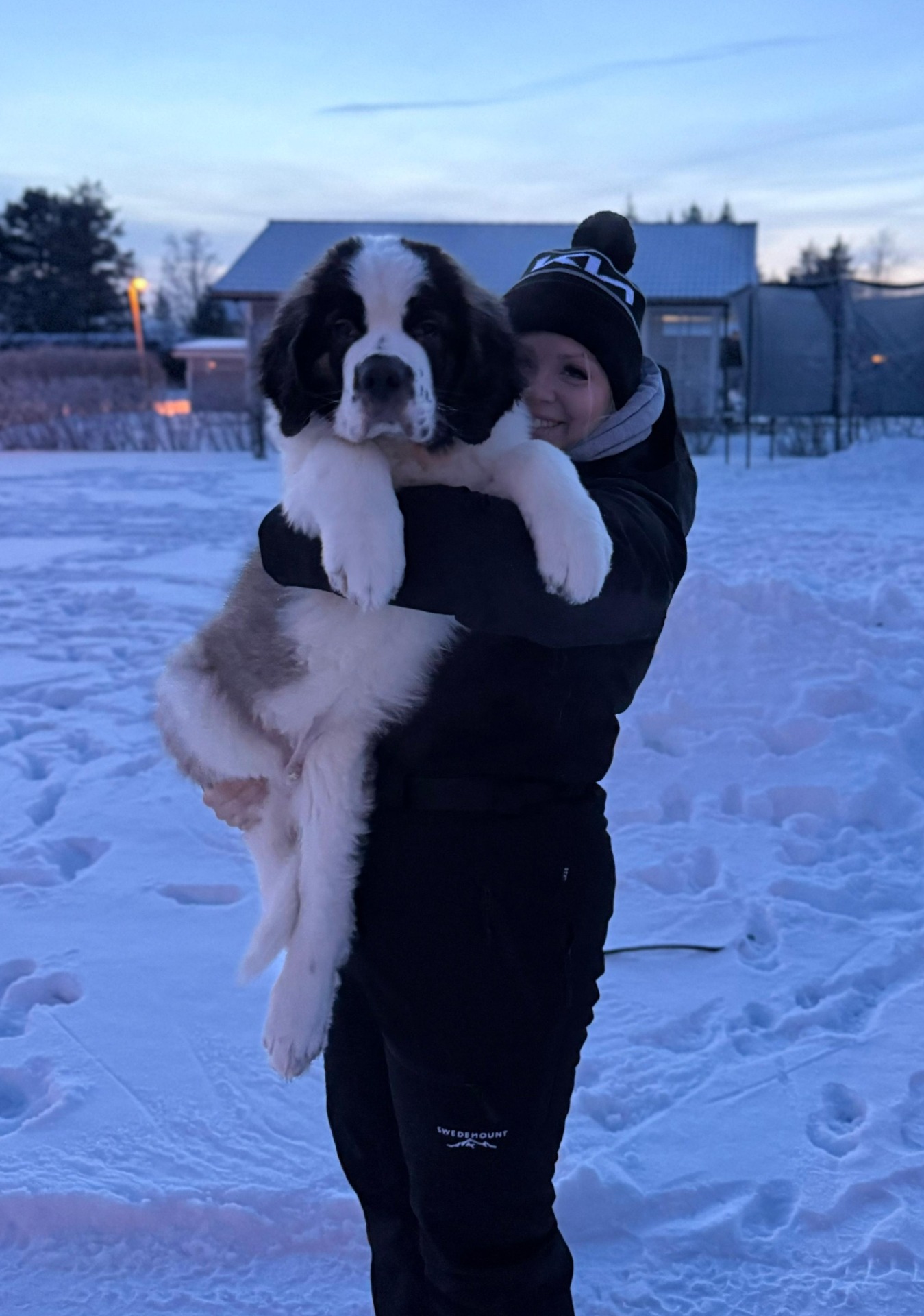  Enderman "Väinö" 3kk om. Renée Forsman