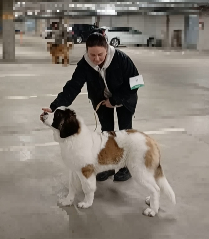 Skeleton "Emmi" 4,5kk om. Johanna Rekola